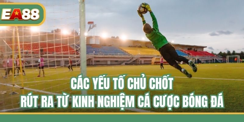 Các yếu tố chủ chốt rút ra từ kinh nghiệm cá cược bóng đá