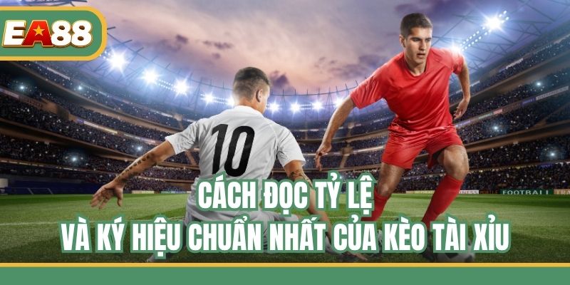 Cách đọc tỷ lệ và ký hiệu chuẩn nhất của kèo tài xỉu