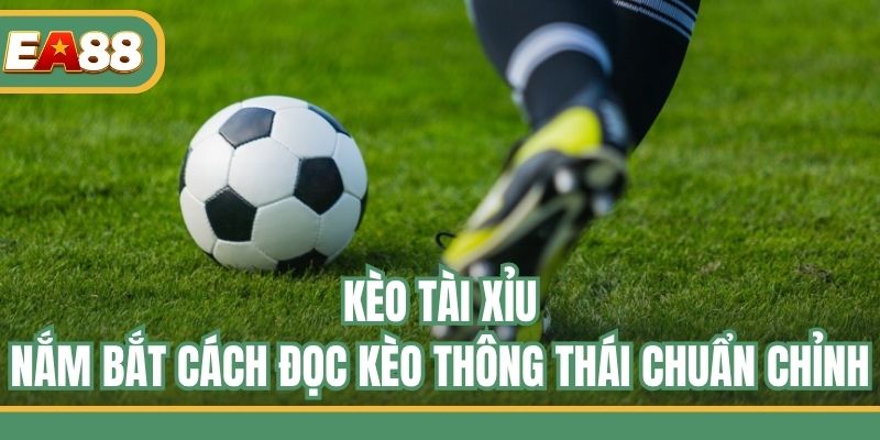 Kèo Tài Xỉu - Nắm Bắt Cách Đọc Kèo Thông Thái Chuẩn Chỉnh