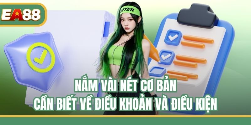 Nắm vài nét cơ bản cần biết về điều khoản và điều kiện