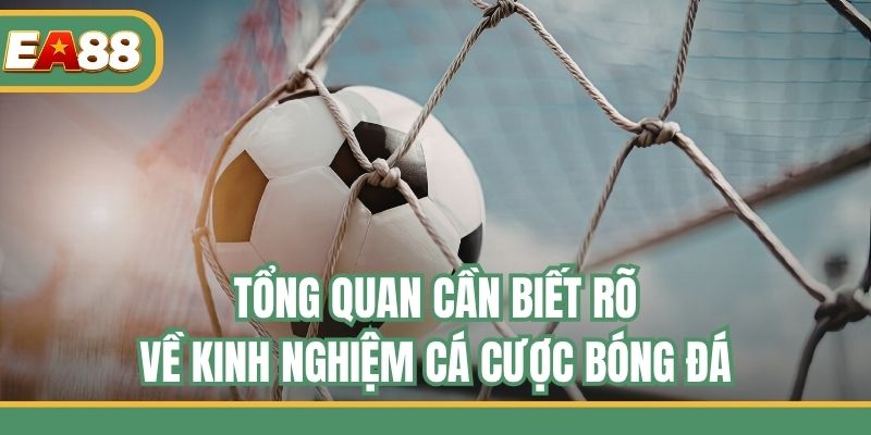 Tổng quan cần biết rõ về kinh nghiệm cá cược bóng đá